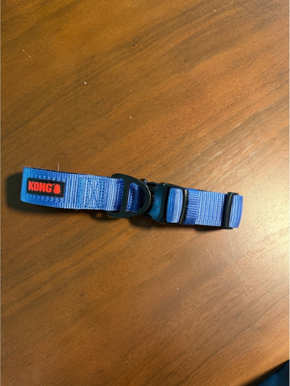 Kong Blue Dog Collar